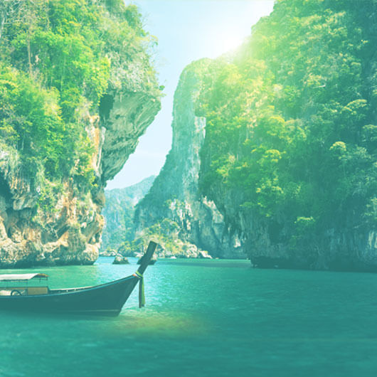 Glads Discovery-Reisnudeln mit «Pho&nbsp;Bo» Sauce