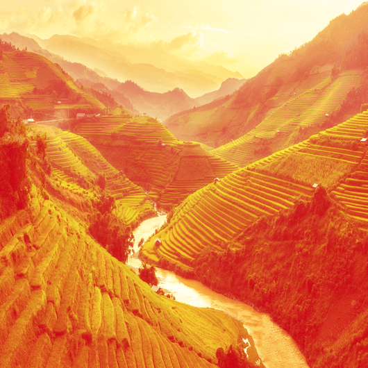 Glads WOK-Nudeln mit Sauce mit «Mie&nbsp;Goreng» Geschmack